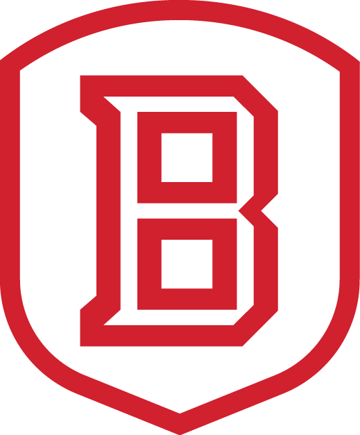 Bradley Braves 2012-Pres Secondary Logo v2 iron on transfers for clothing